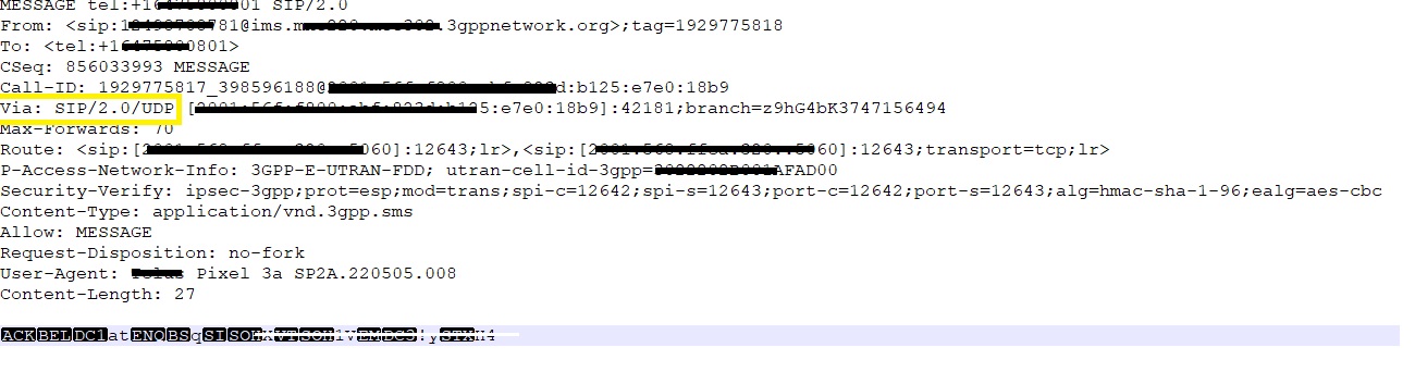 Pixel UDP SIP MESSAGE Image